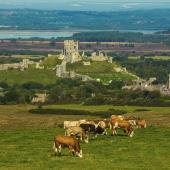 Corfe Castle