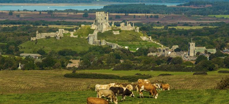 Corfe Castle