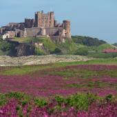 Bamburgh Castle 