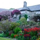 Coleton Fishacre House and Gardens