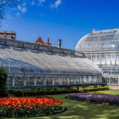 Botanical Gardens & Tropical Ravine