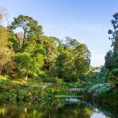 Trebah Gardens