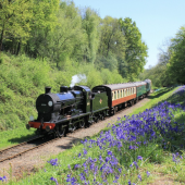 Bluebell Railway Heritage Steam Experience