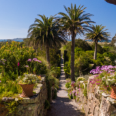 Tresco Abbey Gardens – Guided Tour