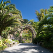 Tresco Abbey Gardens